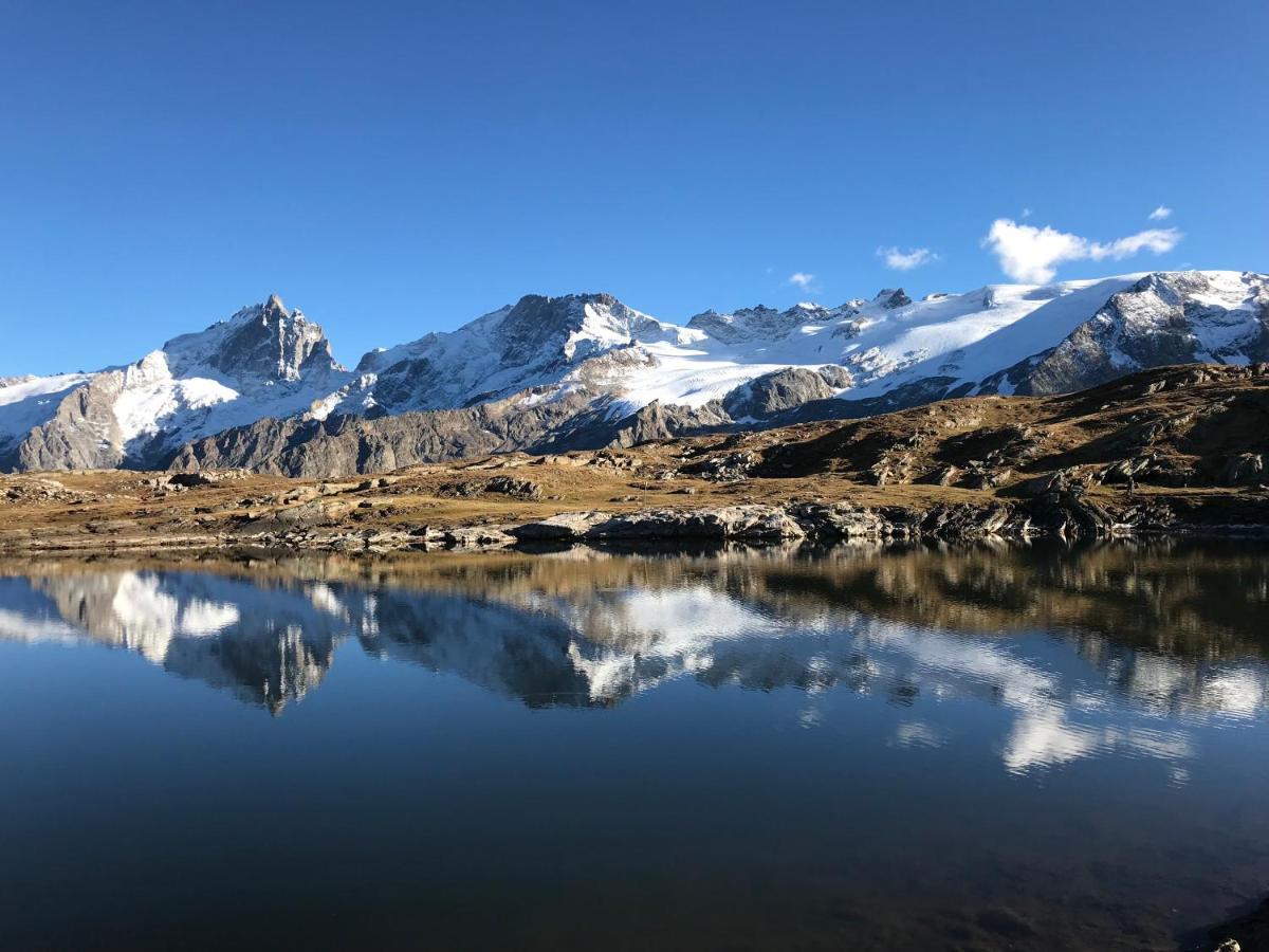 L'Ecrin Alpin - Somptueux 4 Pieces Neuf Coeur Station Daire Les Deux Alpes Dış mekan fotoğraf